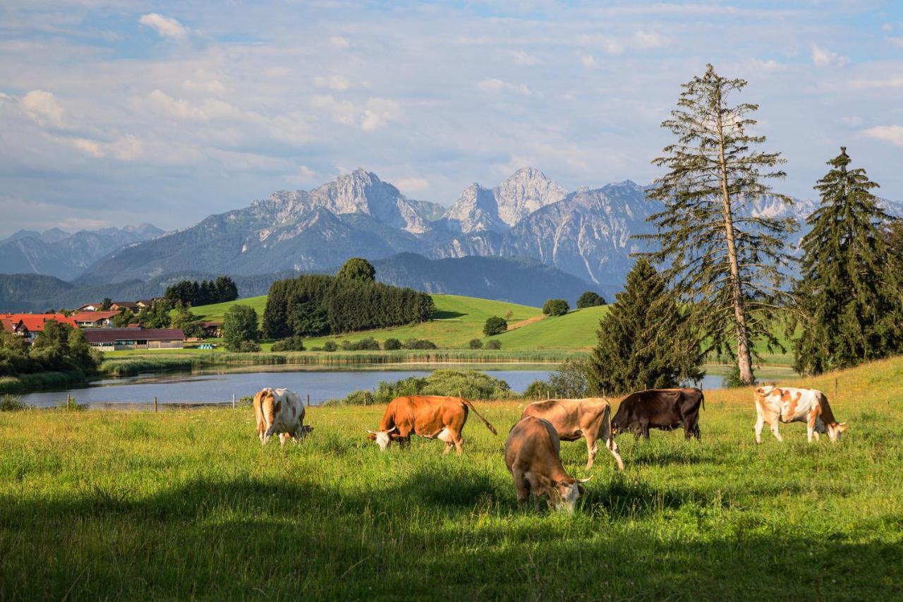Im Allgaeu * Halblech