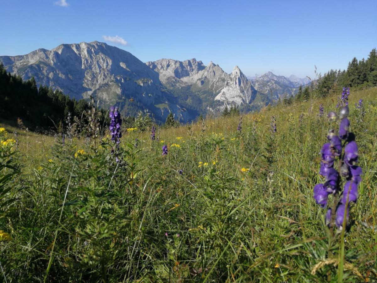 Im Allgaeu Appartement Halblech